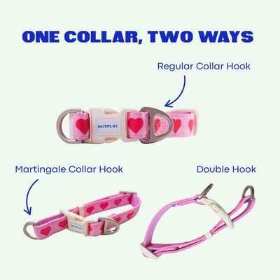 Multifunction Water Resistant Dog Collar - Petal & Earth
