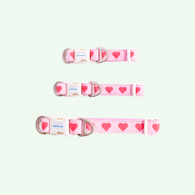 Multifunction Water Resistant Dog Collar