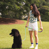 Bubble Dog Leash - Hands Free Multiway