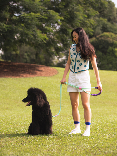 Bubble Dog Leash - Hands Free Multiway