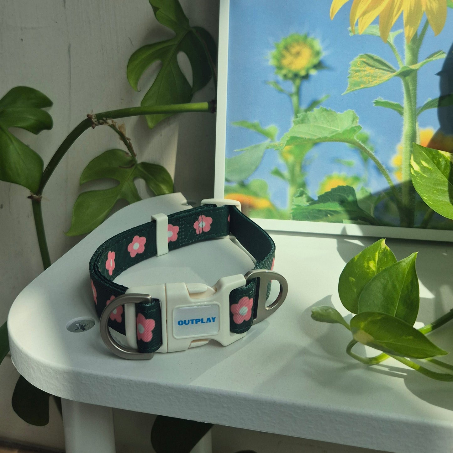 Multifunction Water Resistant Dog Collar - Petal & Earth