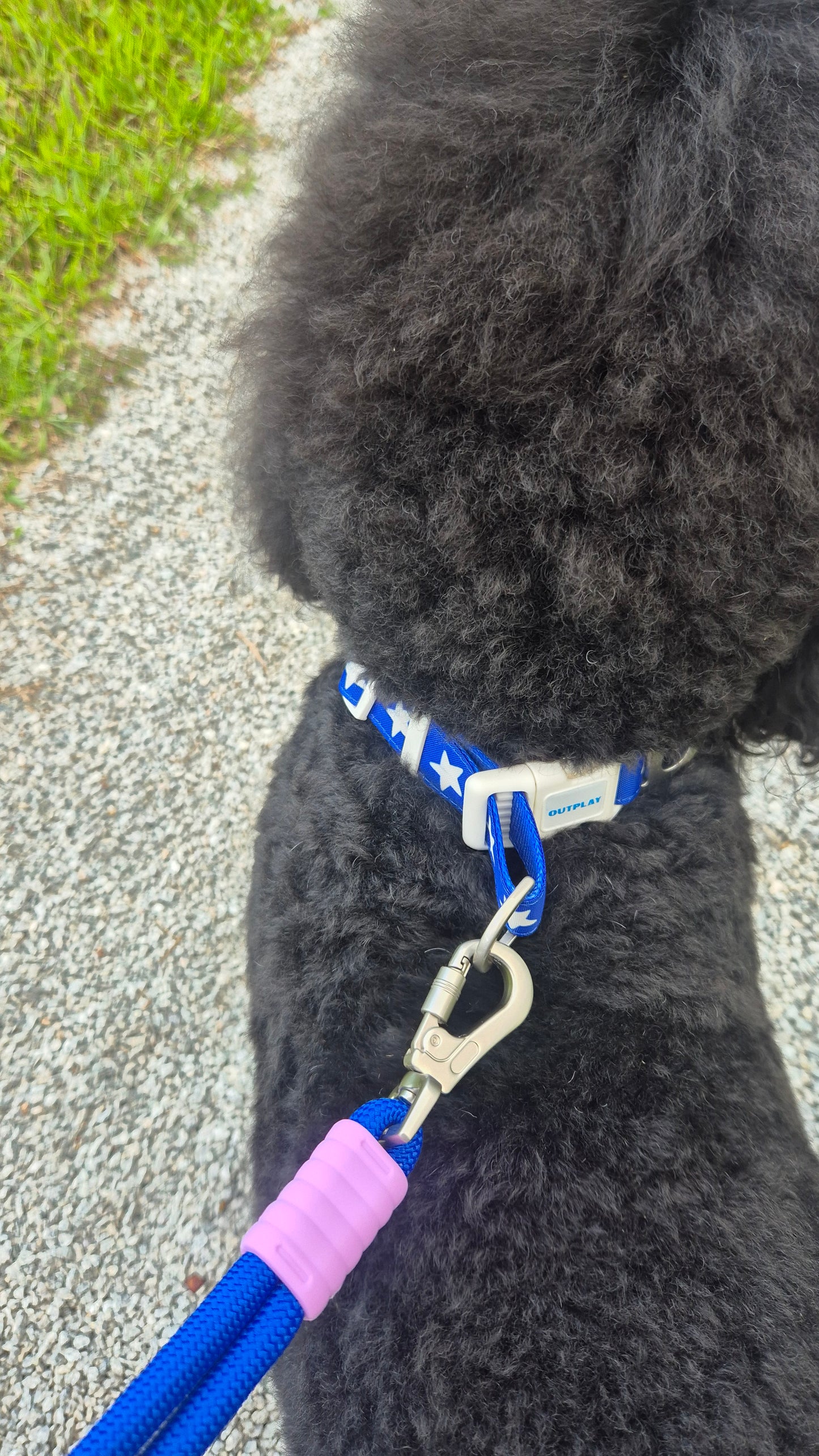 Bubble Leash Single - Hands Free Multiway Dog Leash (2 Sizes)