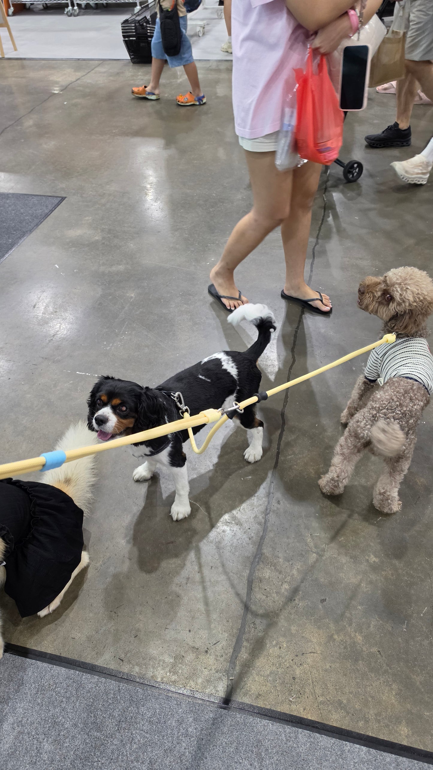 Multi-way Convertible Leash Extension