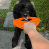 UltraFlex Double Ring Dog Toy (Orange)