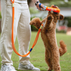 Bite Stick Dog Toy