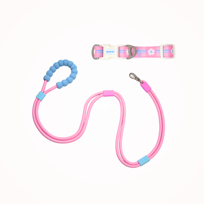 Collar Leash Walk Set