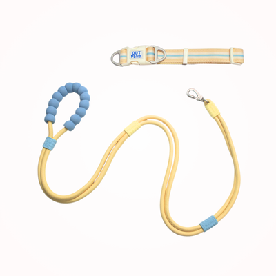 Collar Leash Walk Set
