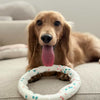 UltraFlex Ring Fetch Dog Toy