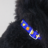 [CNY EXCLUSIVE] Multifunction Water Resistant Dog Collar
