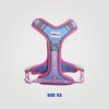 ALIGN Harness