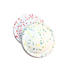 UltraFlex Fetch Frisbee Dog Toy (2 Colours)