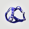 ALIGN Harness
