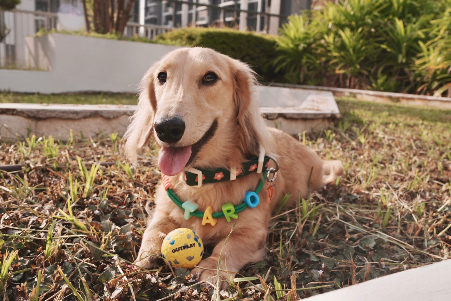 Customised Bead Pet Necklace