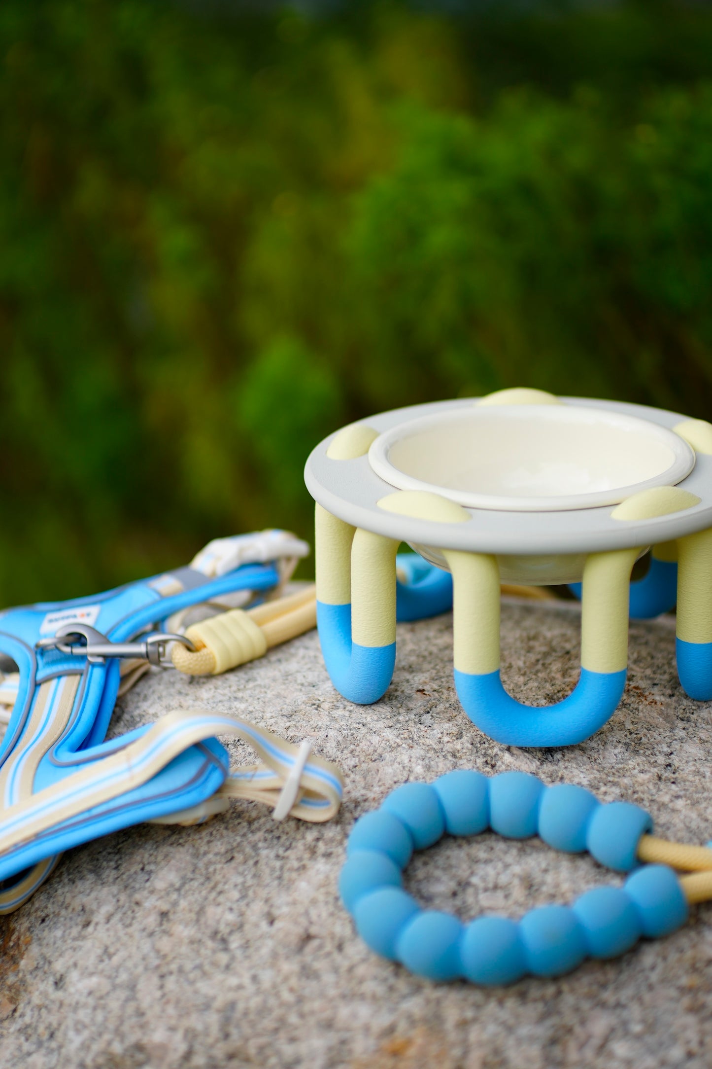 WIGGLY pet bowl by PLOOK PLOOK