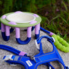 WIGGLY pet bowl by PLOOK PLOOK