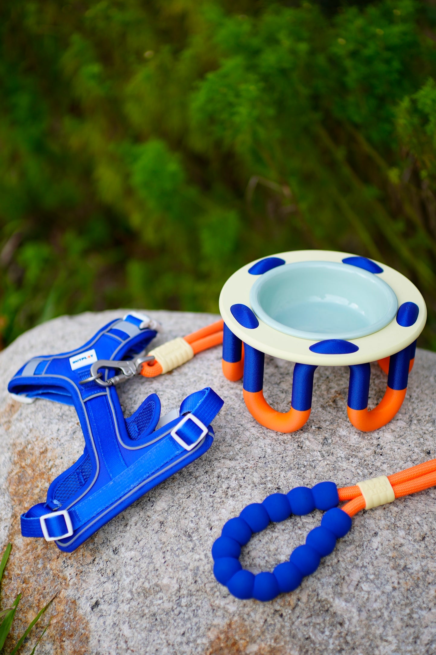 The Everyday Explorer Set
