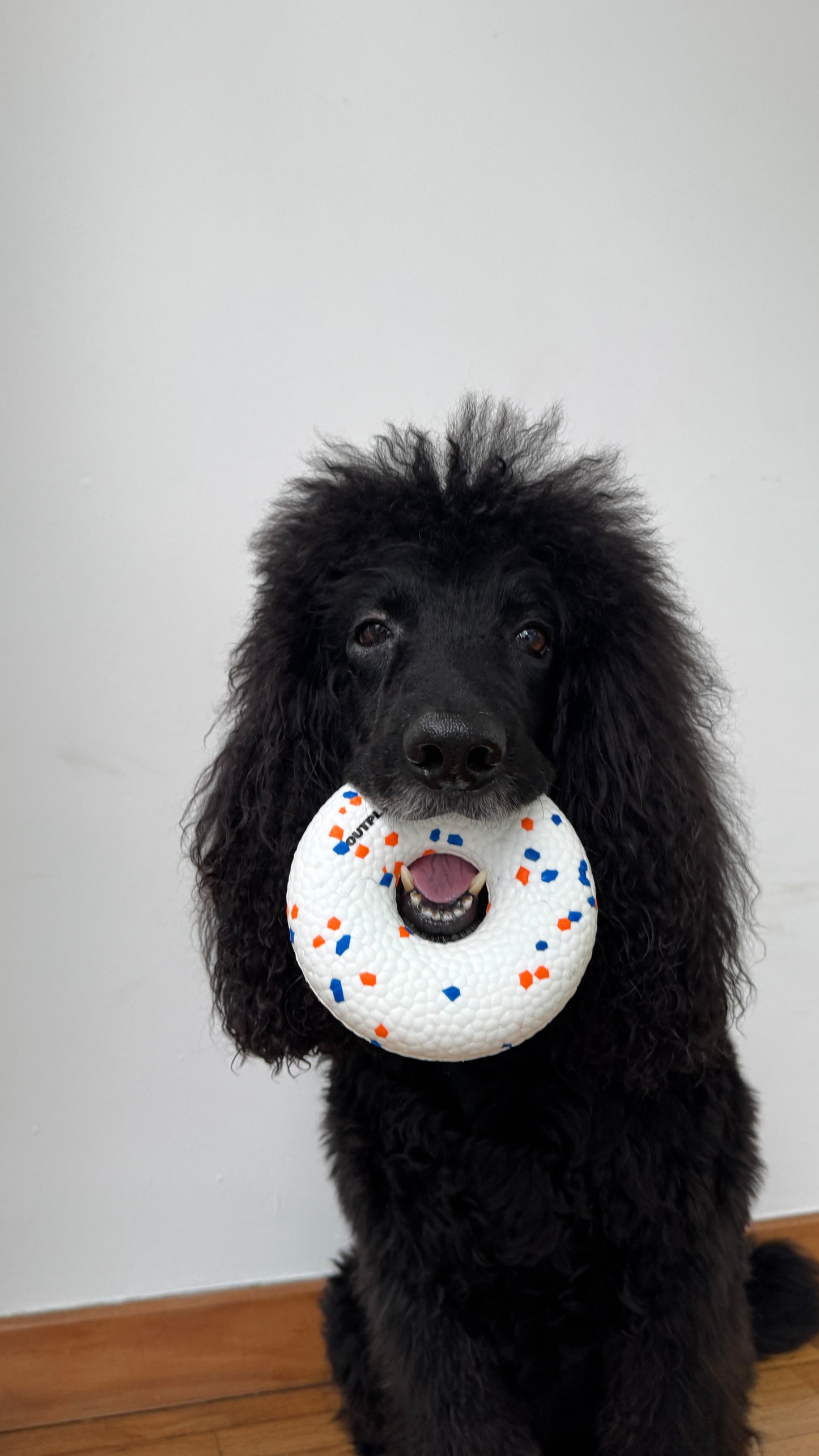 UltraFlex Donut Dog Toy (2 Colours)
