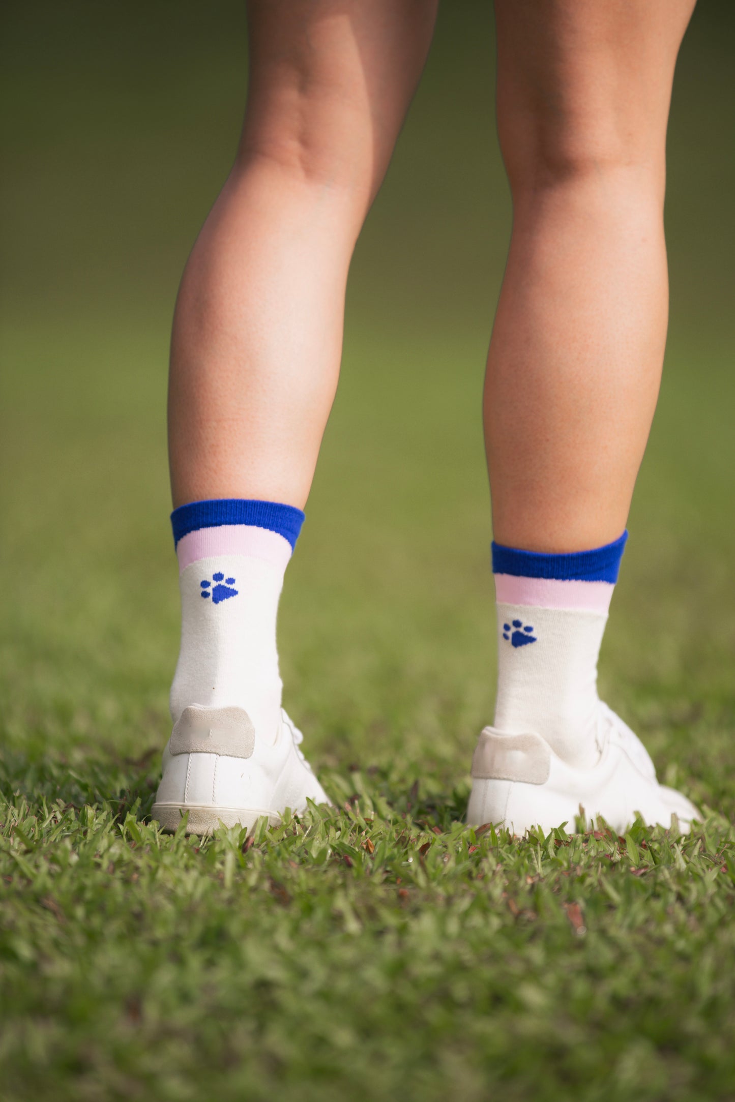 Wander Socks
