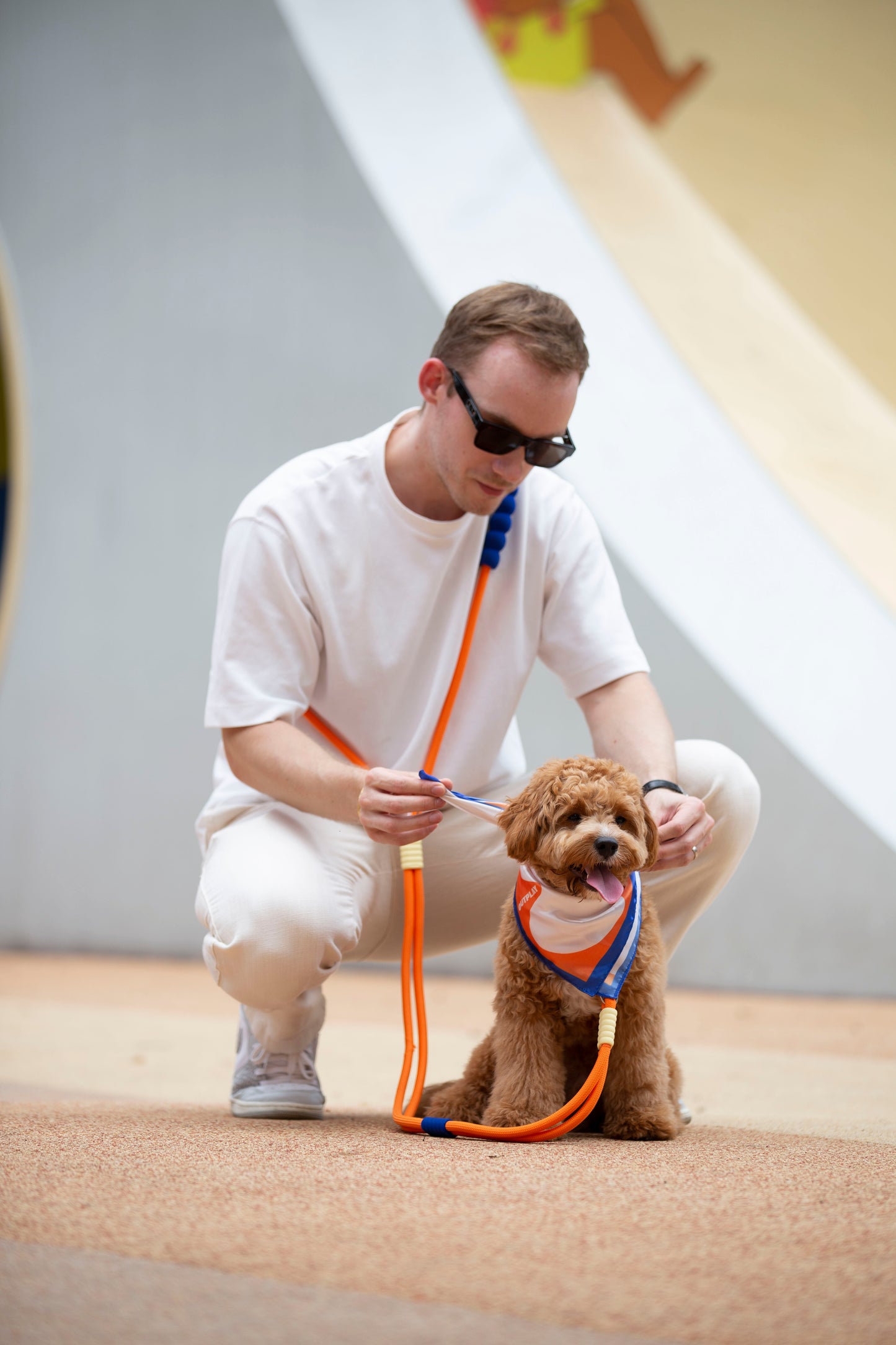Bubble Dog Leash - Hands Free Multiway