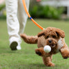 UltraFlex Ball Dog Toy (3 Sizes)