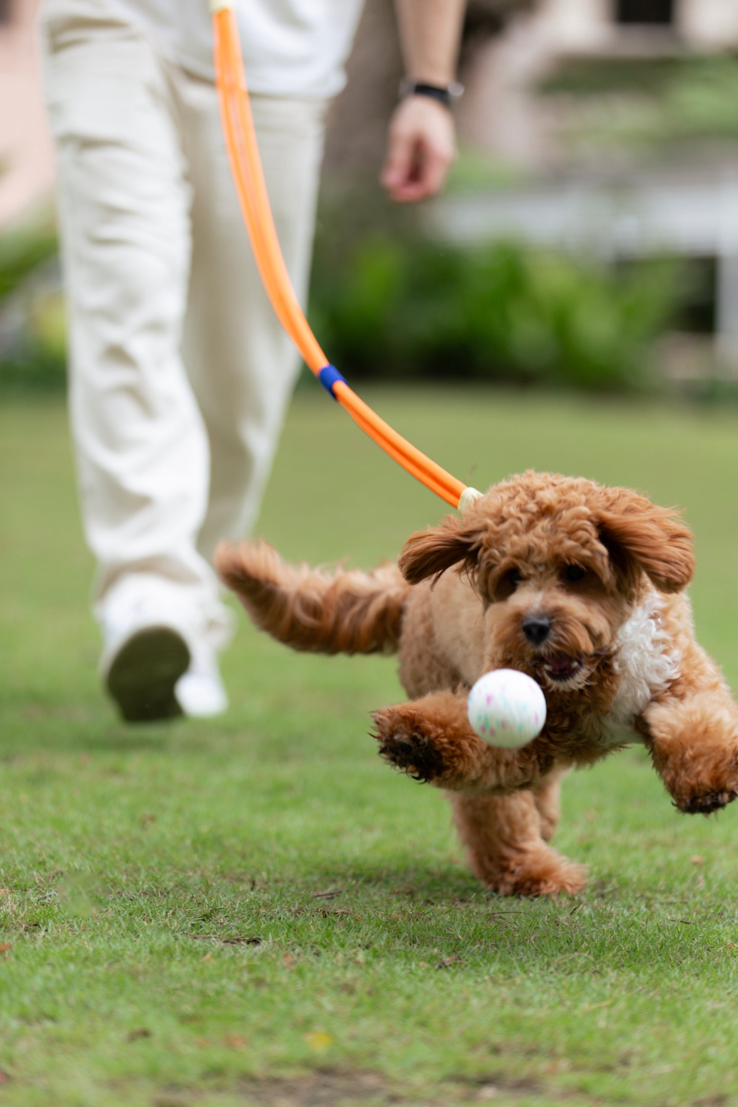 UltraFlex Ball Dog Toy (3 Sizes)