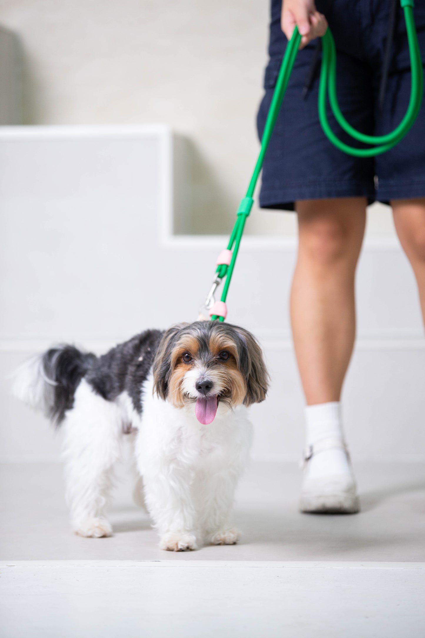 Bubble Leash Double - Hands Free Multiway Dog Leash (2 Sizes) Petal & Earth