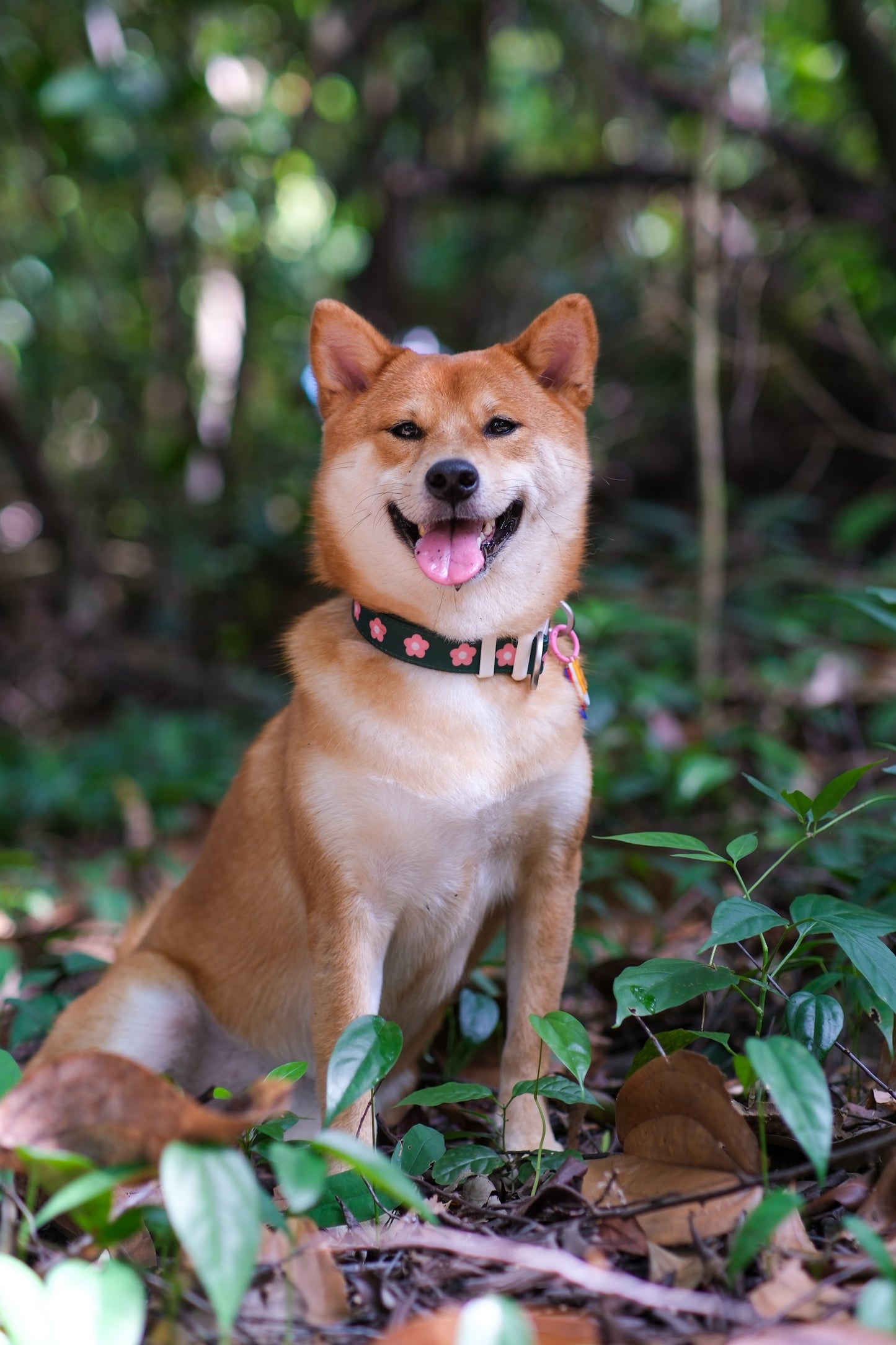 OUTPLAY Walk & Play Bundle