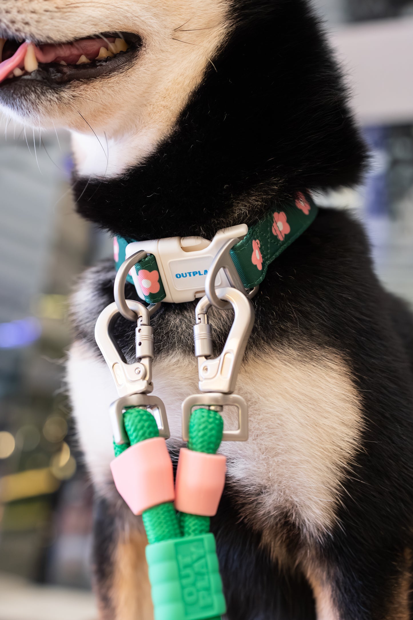 Multifunction Water Resistant Dog Collar