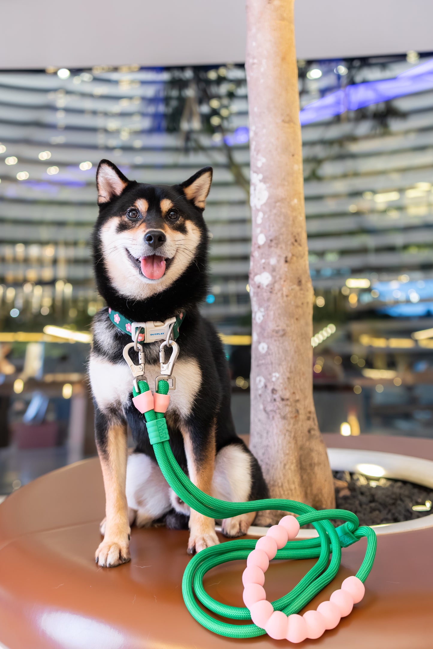 Bubble Leash Double - Hands Free Multiway Dog Leash (2 Sizes)