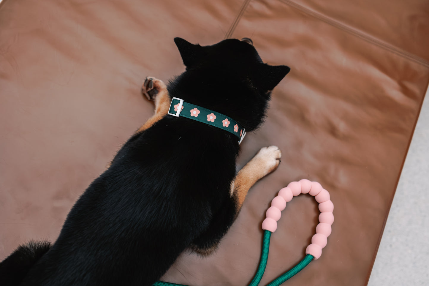 Bubble Leash Double - Hands Free Multiway Dog Leash (2 Sizes)