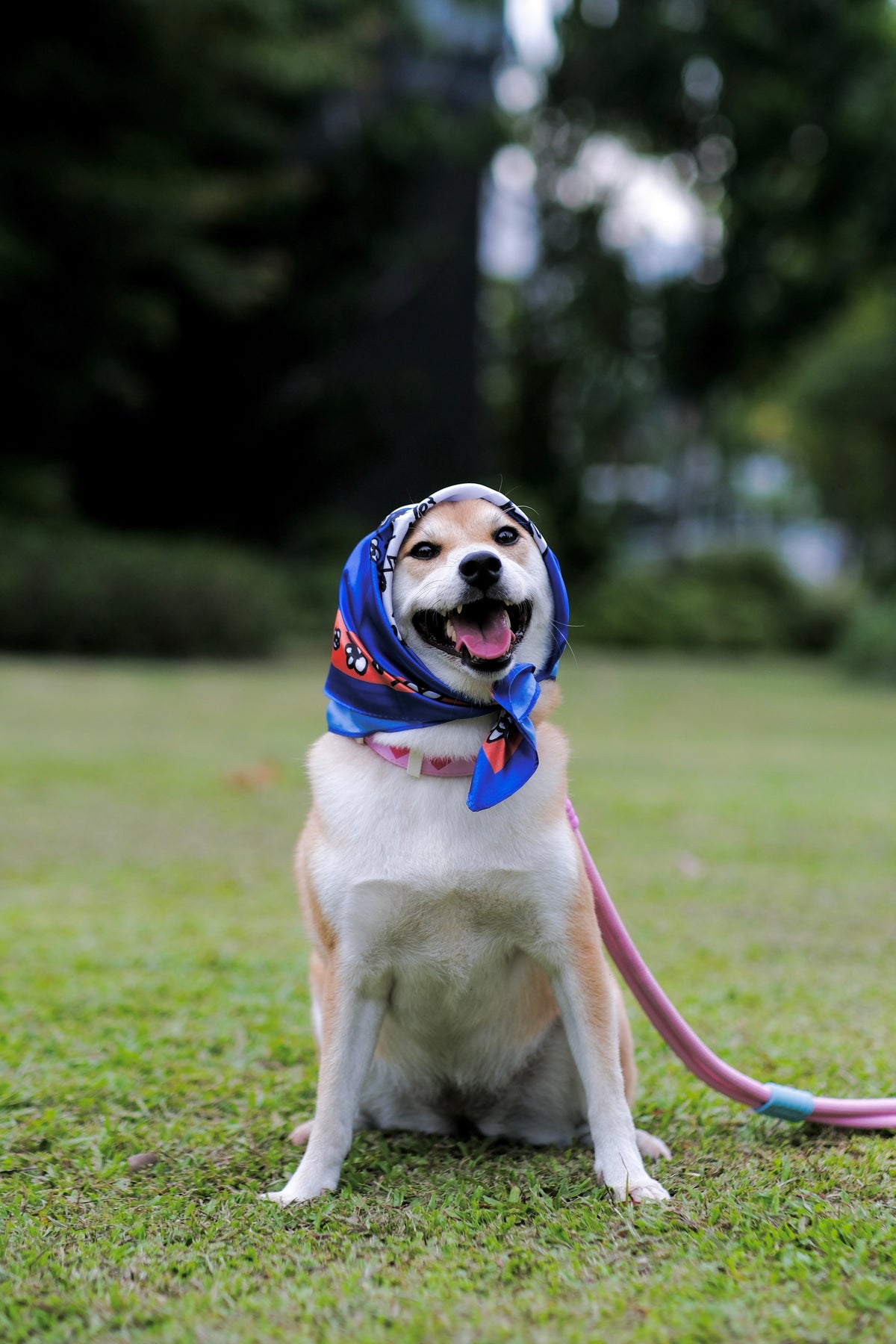 Satin Dog Bandana Scarf - OUTPLAY X OKENAK