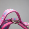 ALIGN Harness