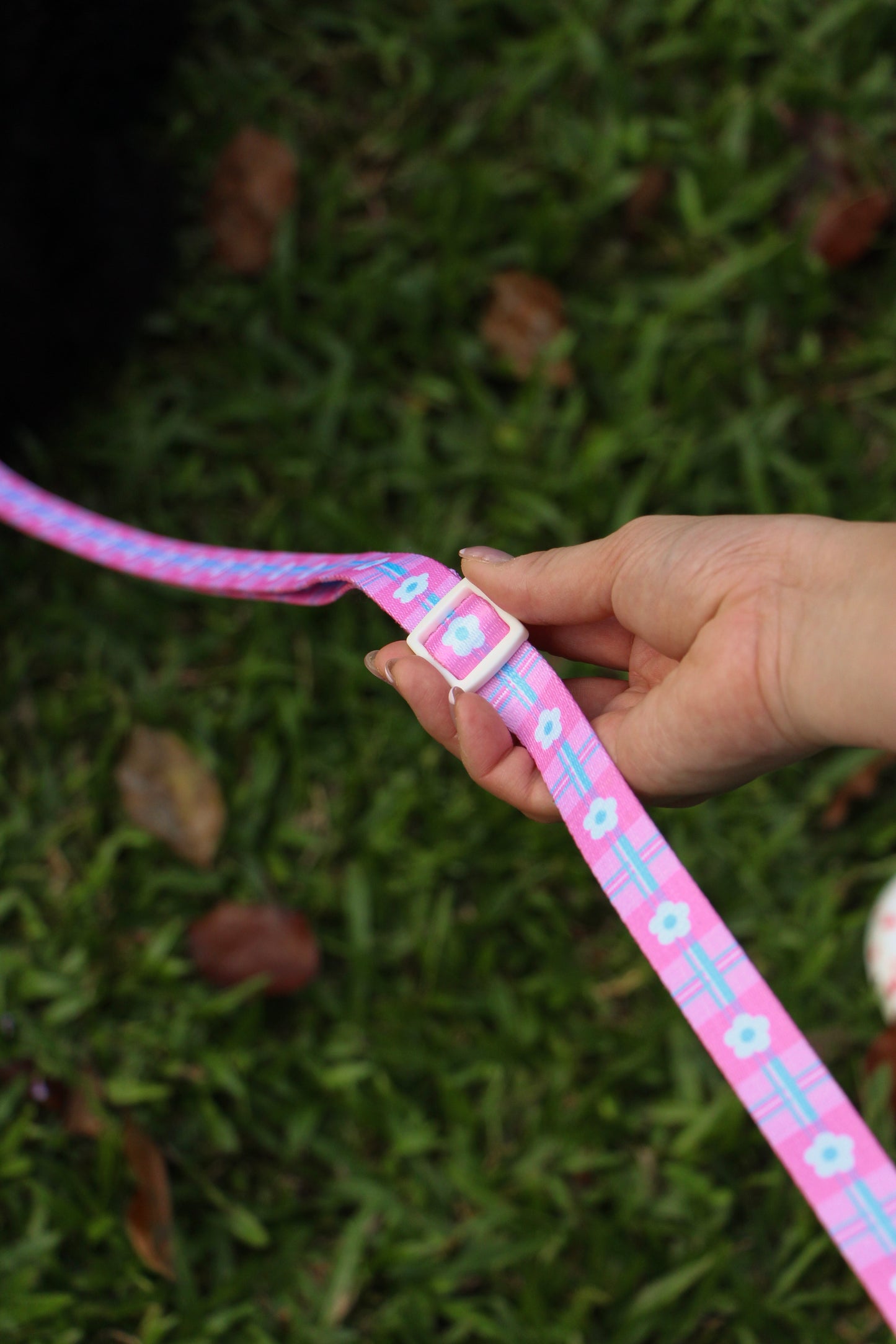 Hands-Free Pattern Leash