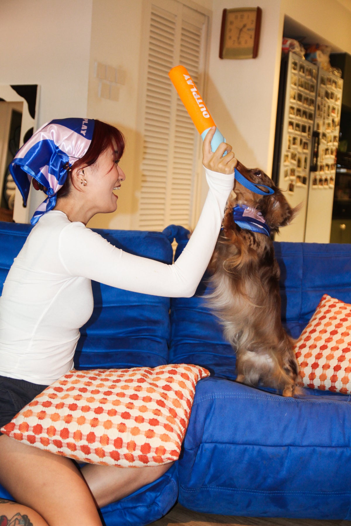Bite Stick Dog Toy
