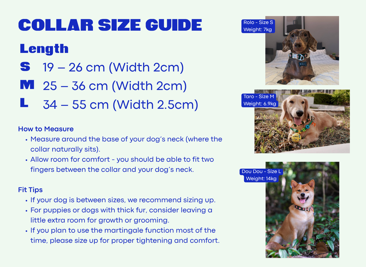 Multifunction Water Resistant Dog Collar