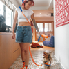 Bubble Dog Leash - Hands Free Multiway