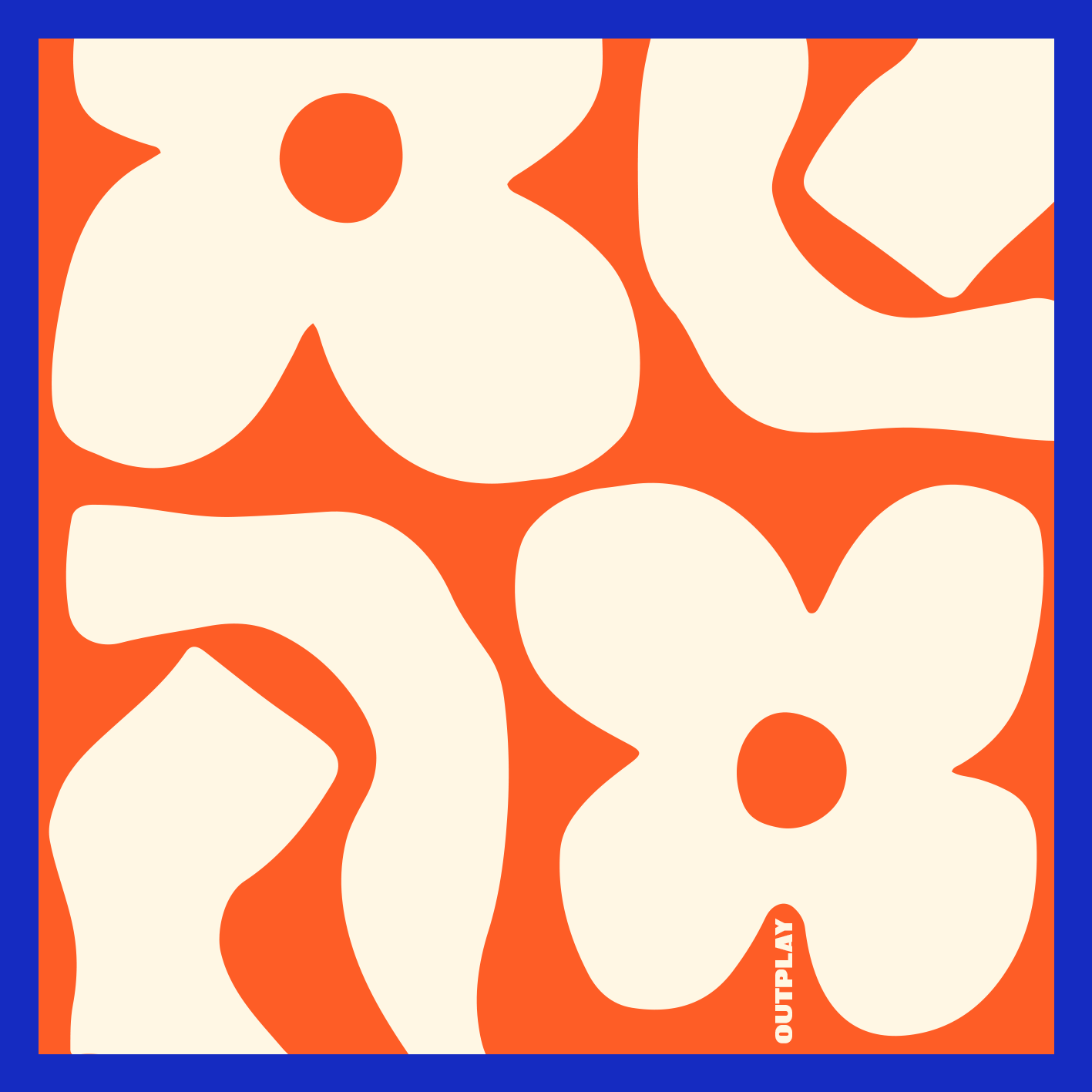 Silk Pop Scarf