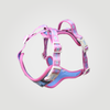 ALIGN Harness