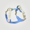 ALIGN Harness