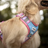 ALIGN Harness