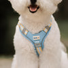 ALIGN Harness