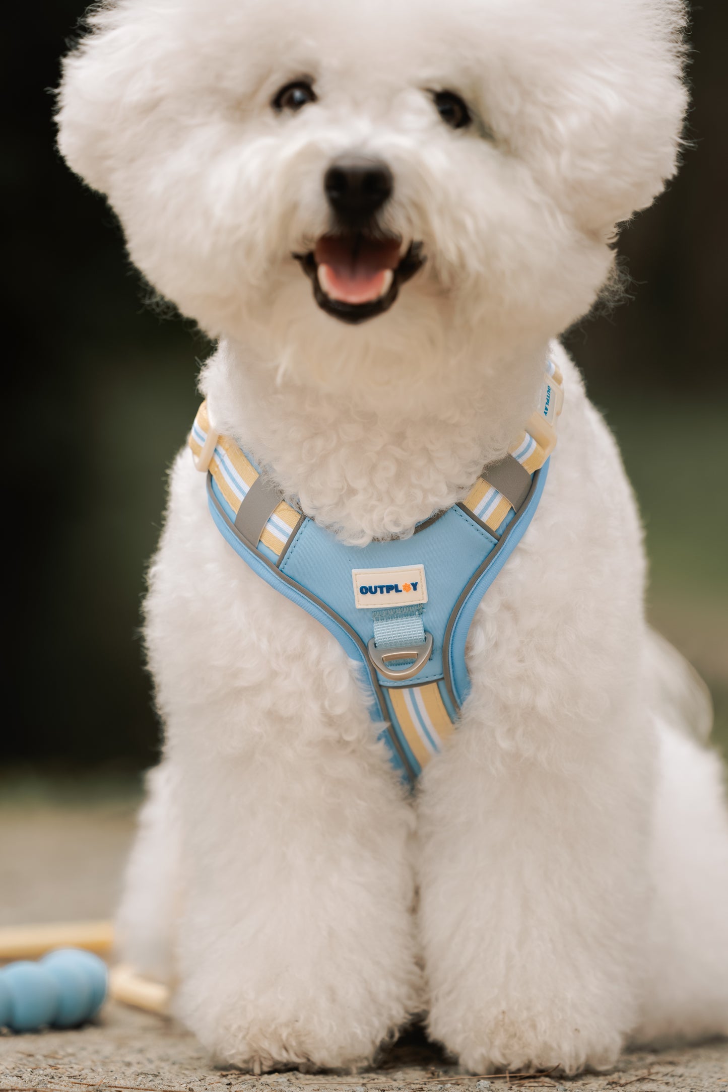 ALIGN Harness