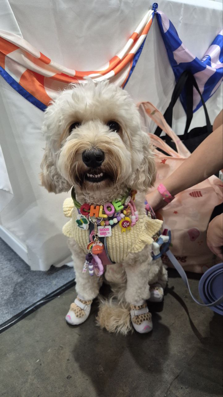 Customised Bead Pet Necklace