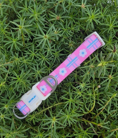 Multifunction Water Resistant Dog Collar