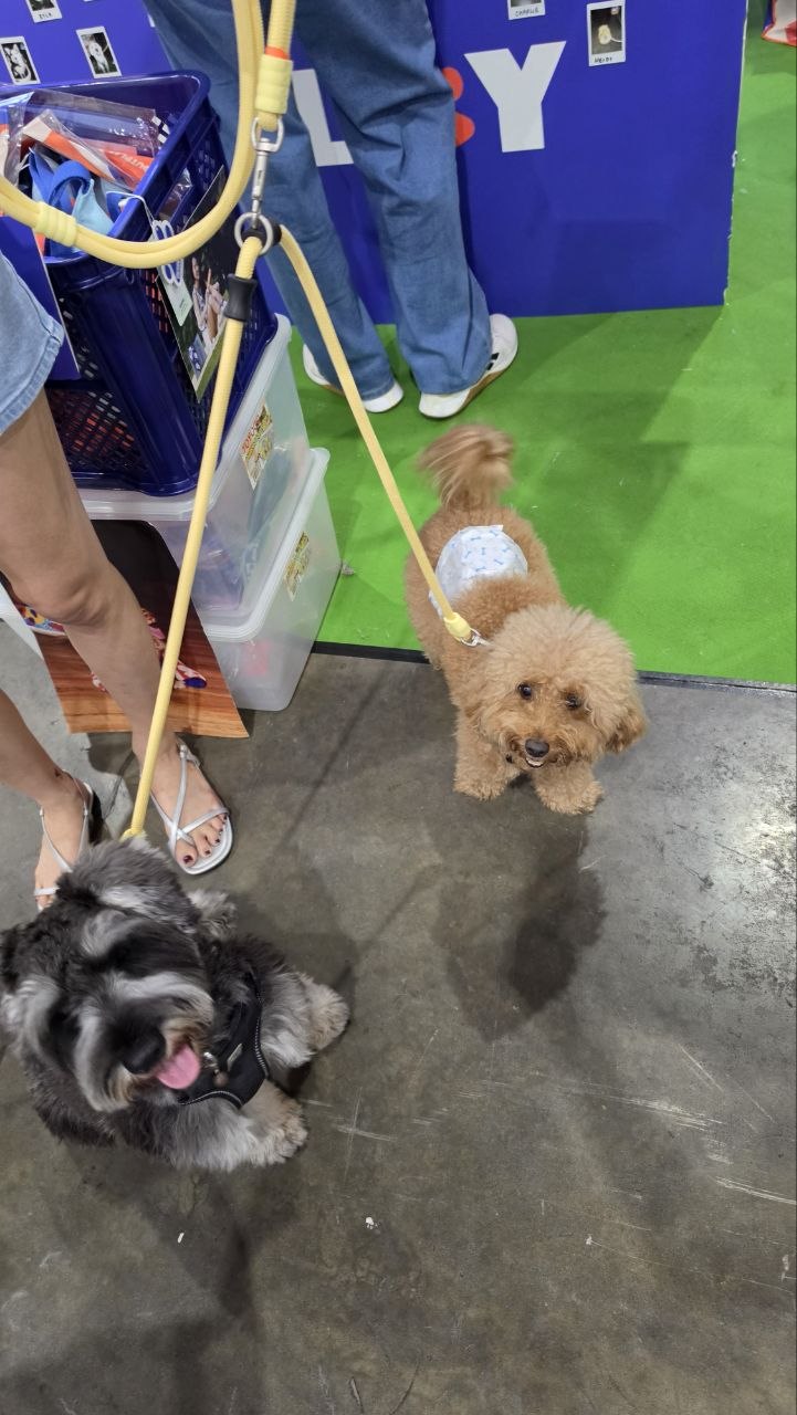 Multi-way Convertible Leash Extension