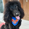 Satin Dog Bandana Scarf - OUTPLAY X OKENAK