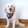 Satin Dog Bandana Scarf - OUTPLAY X OKENAK