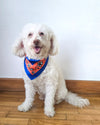 Satin Dog Bandana Scarf - OUTPLAY X OKENAK