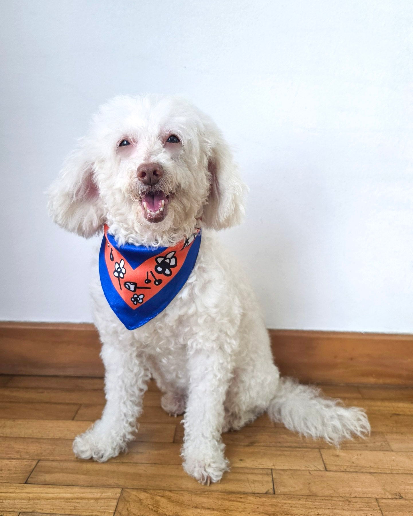 Satin Dog Bandana Scarf - OUTPLAY X OKENAK