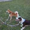 Multi-way Convertible Leash Extension